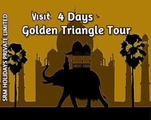 4 Days Golden Triangle Tour by car