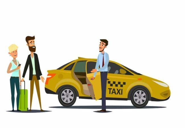 Golden Triangle-tour-Taxi-&-driver