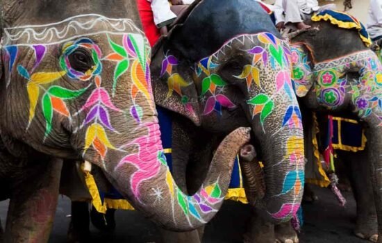 painting_to_elephant