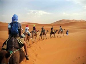 Premium Camel Desert Safari tour