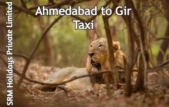 ahmedabad to sasan gir taxi