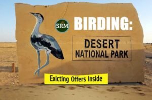 Birding in Desert National Park Jaisalmer