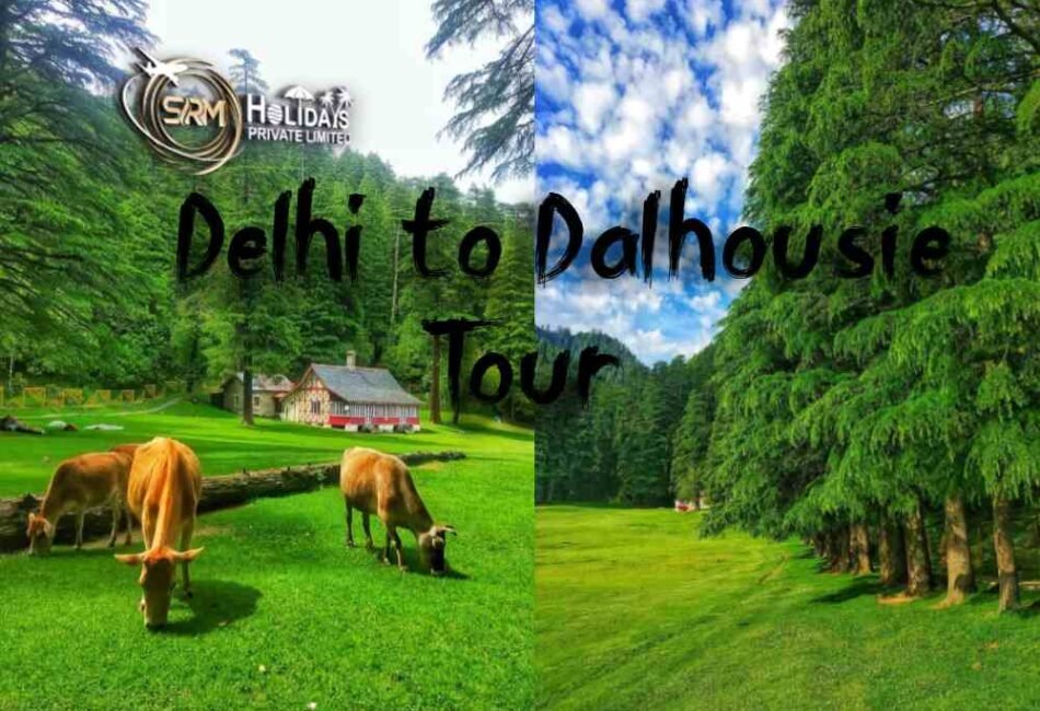 Delhi to Dalhousie Tour Package