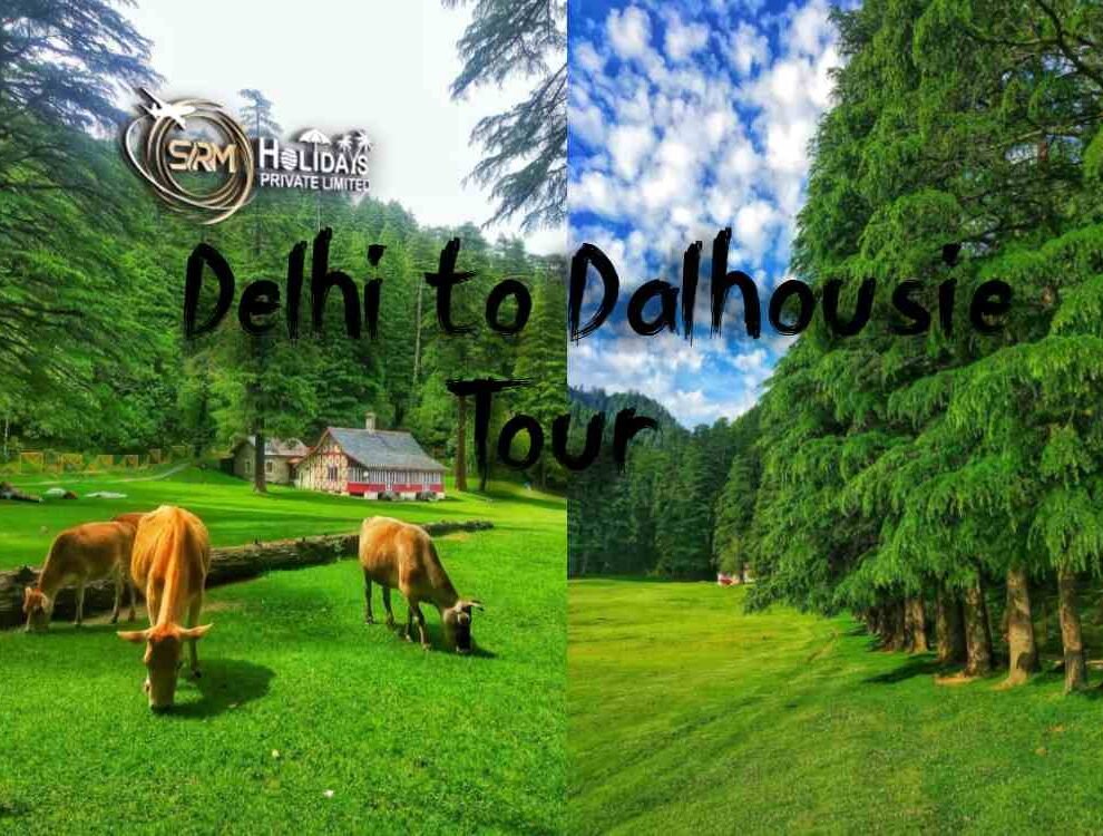 Delhi to Dalhousie Tour Package