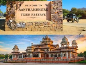 Delhi Jaipur Ranthambore Tour Package