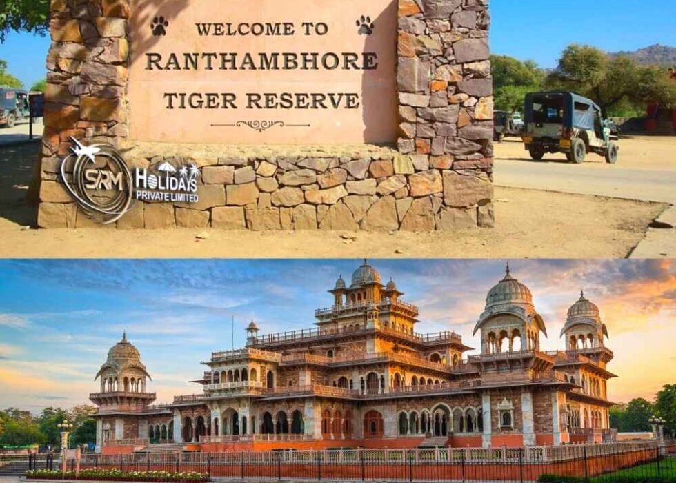 Delhi Jaipur Ranthambore Tour Package