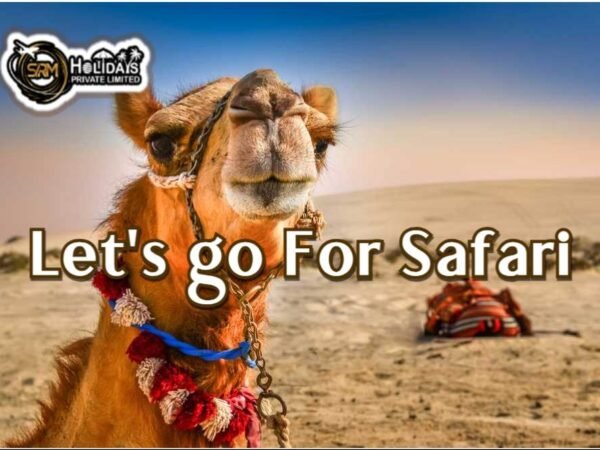 Jaisalmer-safari-tour-package Jaisalmer Safari Tour Package