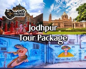 One Day Jodhpur Tour Package