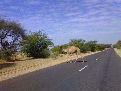 Jaisalmer Highway Road