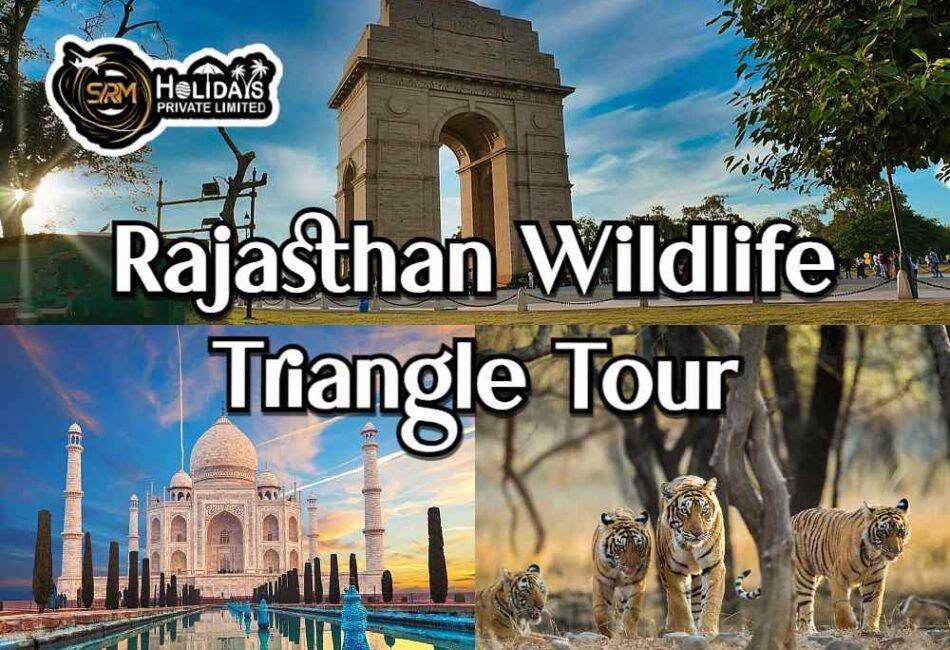 Rajasthan Wildlife Triangle Tour from Delhi Rajasthan Wildlife Triangle Tour from Delhi